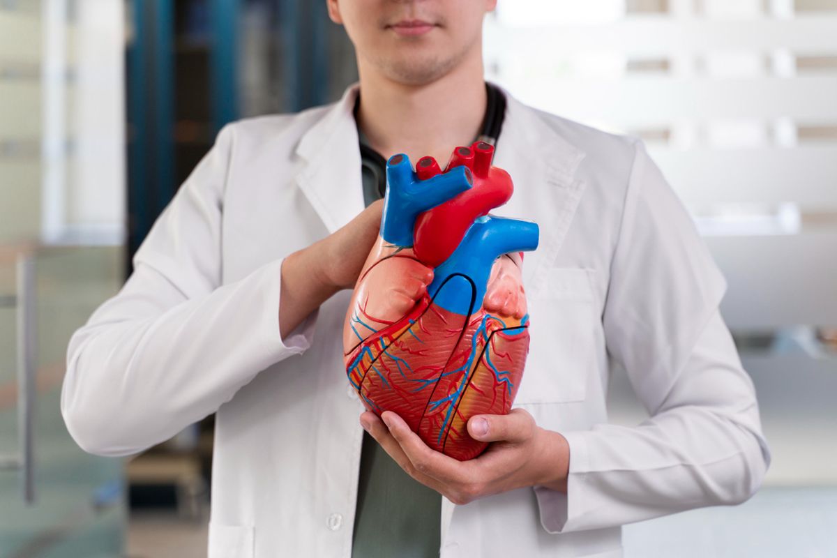 Deteksi Dini Kelainan Jantung: Keunggulan Teknologi Echocardiography