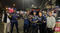 Sanca_3_Meter_di_Atap_Rumah_Bogor_Warga_Panik_Panggil_Damkar