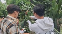 Vandalisme_Kebun_Raya_Bogor_2_Pelaku_AdiSanto_Dihukum