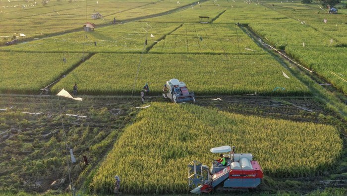 ADB Suntik Dana Rp656 Triliun: Ketahanan Pangan Asia Pasifik