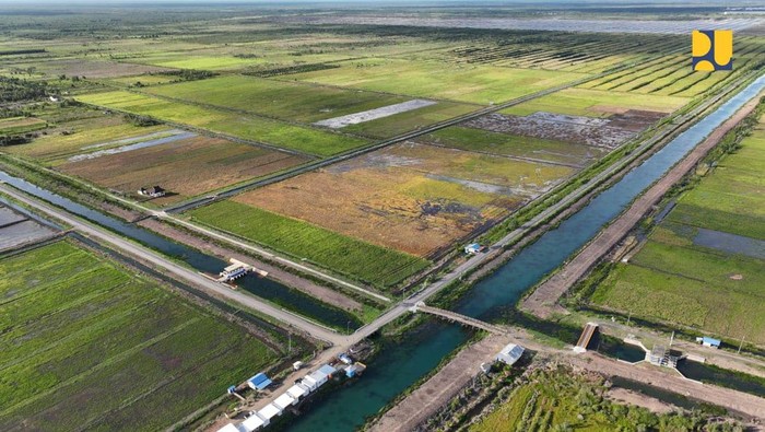 Agrinas Pangan: Kelola Raksasa Food Estate 425 Ribu Hektar