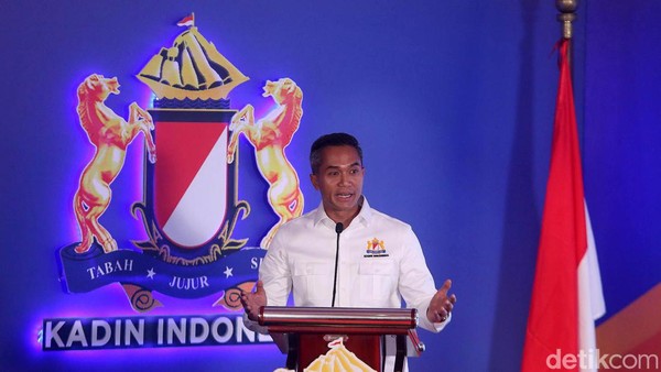 Anindya Bakrie Bongkar Oknum Kadin Minta Jatah Proyek