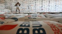 Beras RI Melimpah: Harga Global Anjlok, Surplus Ekspor? Beras RI Melimpah: Harga Global Anjlok, Surplus Ekspor?