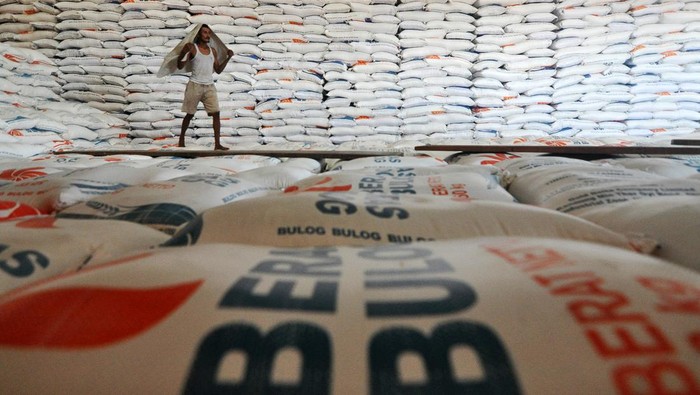 Beras RI Melimpah: Harga Global Anjlok, Surplus Ekspor?