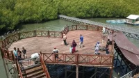 Eksplorasi Hutan Mangrove Tongke-Tongke Sinjai: Surga Tersembunyi Sulawesi