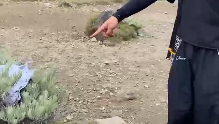 Gede Pangrango Tercoreng: Pendaki Tak Bertanggung Jawab Buang Sampah