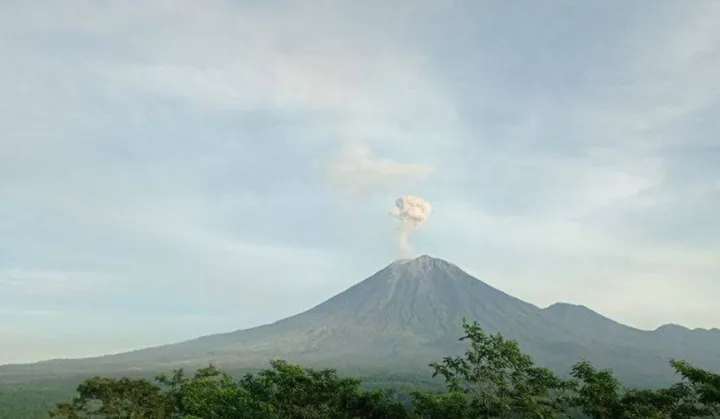 Gunung Semeru Erupsi Dahsyat: Kolom Abu 400 Meter!