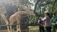 Harga Tiket Ragunan Hari Ini? Liburan Seru Keluarga Menanti!