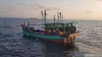 Indonesia-Australia Bersatu: Perang Lawan Pencurian Ikan Ilegal di Perbatasan Indonesia-Australia Bersatu: Perang Lawan Pencurian Ikan Ilegal di Perbatasan