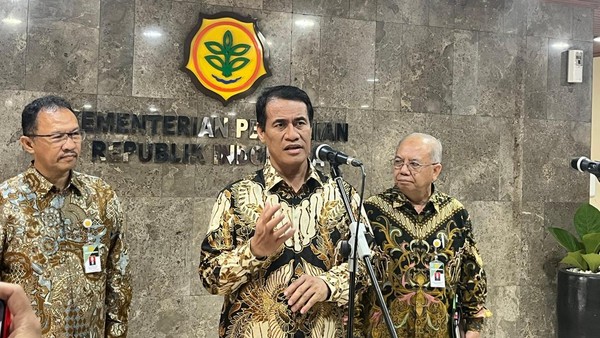 Indonesia Stop Impor Beras: Harga Global Anjlok Drastis?