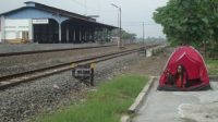 Jejak Sejarah Delanggu: Rojo Lele & Pusaka Gula Kolonial