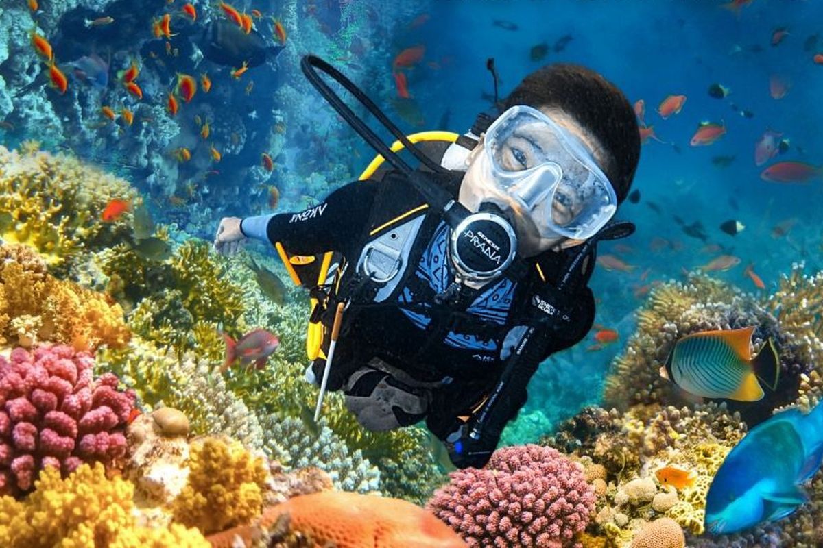 Jelajahi Dunia Bawah Laut Surabaya: Sertifikasi Scuba Diving & Keindahannya