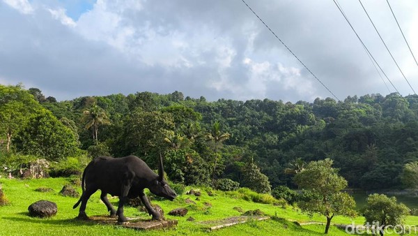 Jelajahi Kebun Raya Kuningan: Surga Hijau Rebana Metropolitan
