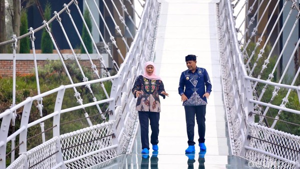 Jembatan Kaca Bromo: Sensasi Menakjubkan, Wajib Dikunjungi!