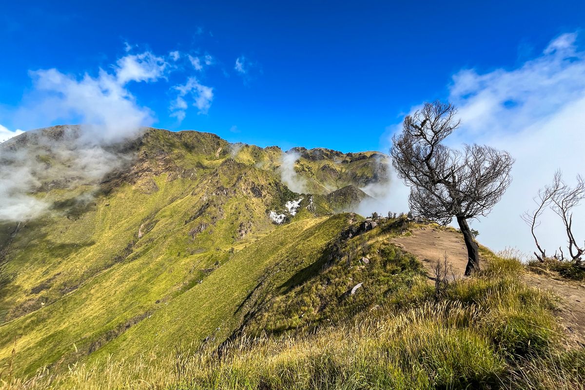 Merbabu Sky Race Ditutup! Jalur Thekelan & Wekas Tutup Mei