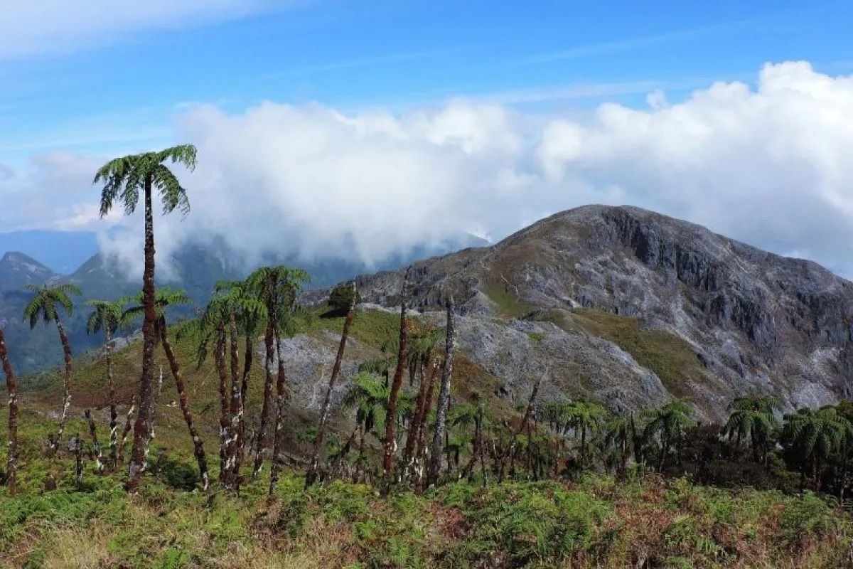 Misteri Pendaki Bogor Hilang Gunung Binaiya: Pencarian Terpadu Dilakukan