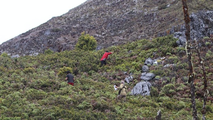 Misteri Pendaki Hilang Gunung Binaiya: Pencarian Dihentikan Sementara
