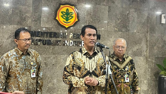 Pasokan Beras Nasional Aman: Stok Melimpah 3,7 Juta Ton
