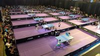 Pemain Asing Guncang Pingpong League 2025: Akankah Mereka Menang?