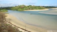 Pengalaman Buruk di Ratenggaro: Traveler Dipaksa Bayar, Jangan Kecewa!