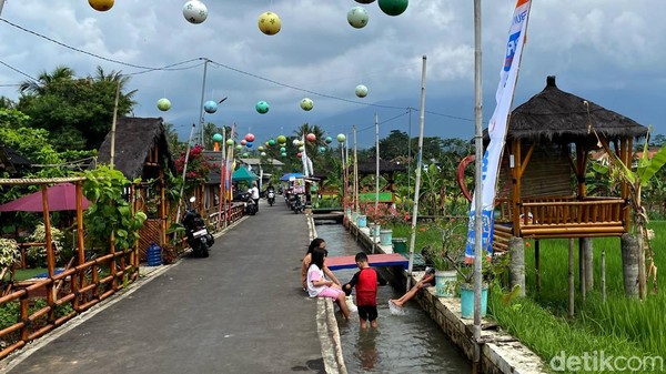 Petualangan Sawah Cikaso: Ngebotram & Pemandangan Persawahan Menakjubkan