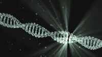 Rahasia DNA: Gen Anda Menentukan Siapa Anda?