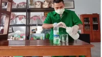 Rahasia Fermentasi: Warisan Leluhur Hingga Industri Modern