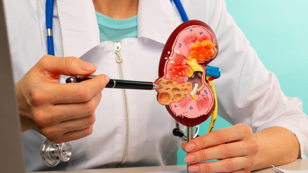 Rahasia Ginjal Sehat: Hindari Cuci Darah Muda Dengan Minuman Ini