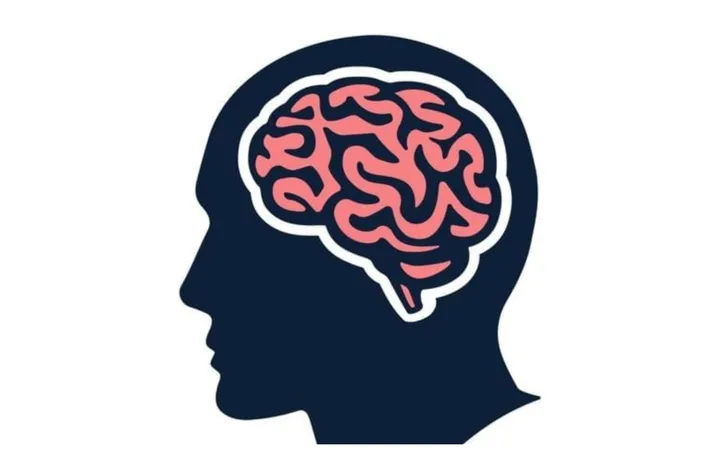 Rahasia Otak Cerdas: 7 Kebiasaan Malam untuk Sukses