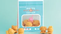 Resep Kue Castella Mini Imut: Bikin Nagih & Mudah!