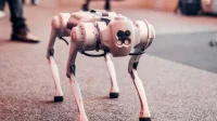 Robot Anjing ITS: Patroli Cerdas, Mitigasi Bencana Efektif