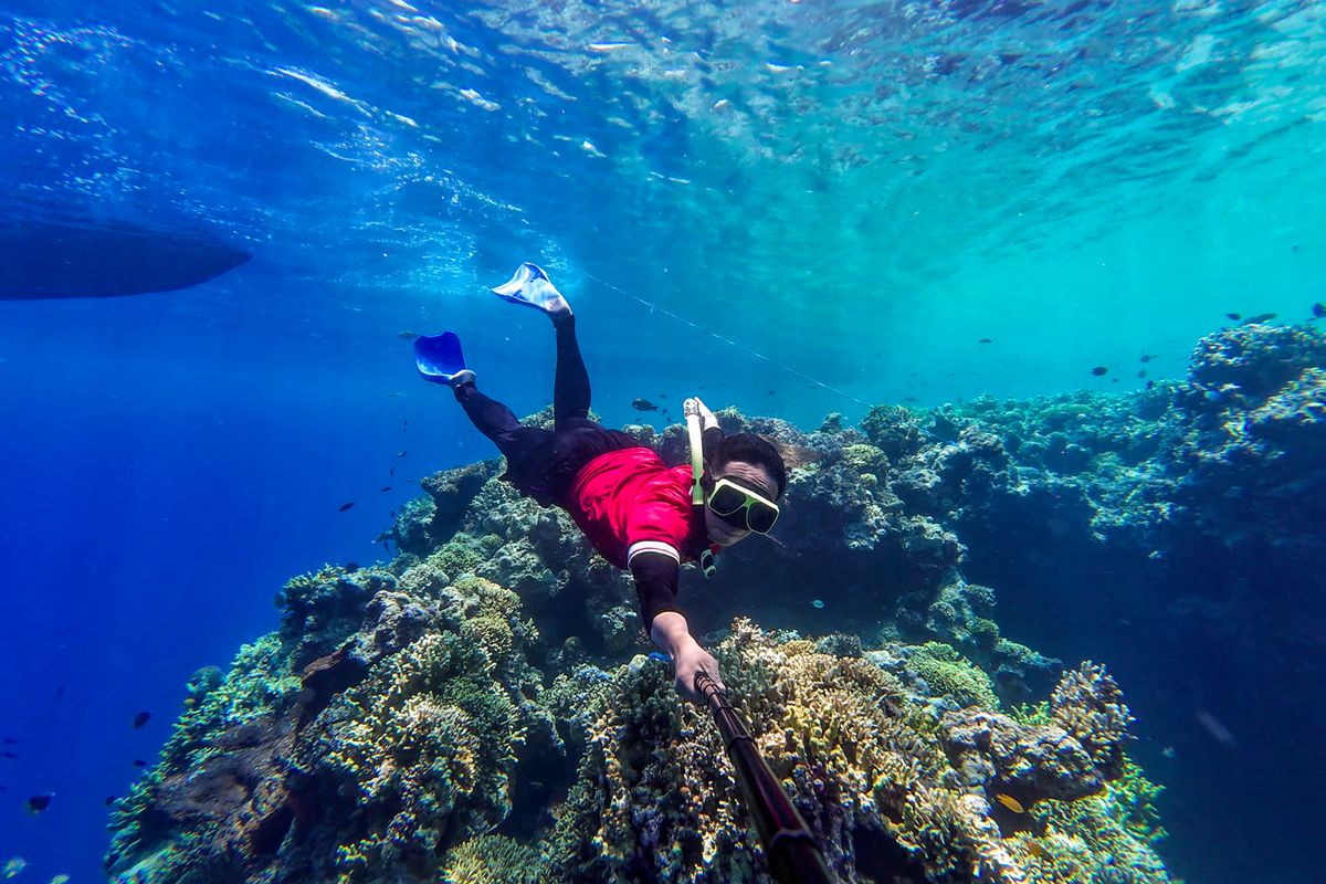 Scuba Diving vs Freediving: Mana Lebih Menantang & Menyenangkan?