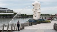 Singapura Waspada! 4 Produk Pangan Picu Penyakit Jantung-Stroke, Indonesia?