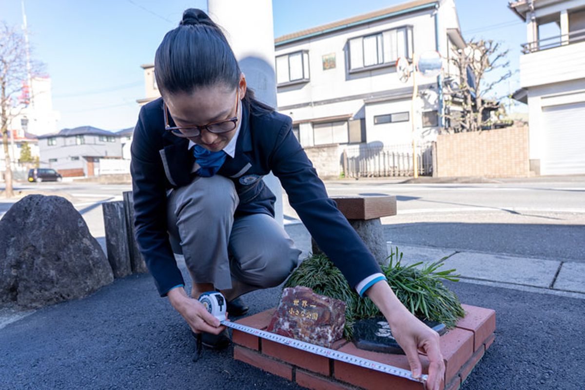 Taman Mini Jepang: Rekor Dunia, 0.24 Meter Persegi!