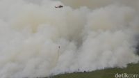 Waspada! Karhutla Ancam Indonesia, Riau Hadapi Kemarau Ganda