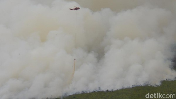 Waspada! Karhutla Ancam Indonesia, Riau Hadapi Kemarau Ganda