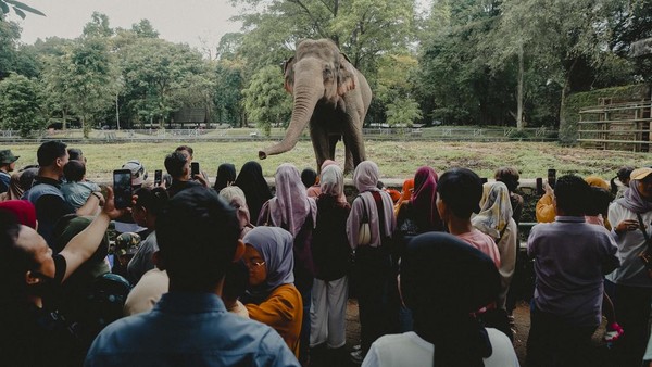 Liburan Ramai? Tips Cerdas Mengatasi Tempat Wisata Overcrowded
