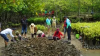 PPN: Energi Ramah Lingkungan Mendorong Kesejahteraan Nelayan & Petani Cilacap