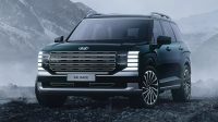 Palisade Hyundai Digugat: Pemilik Bongkar Masalah Besar