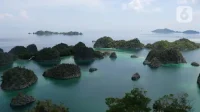 Reformasi Aturan Pulau Kecil Cegah Tragedi Tambang Raja Ampat