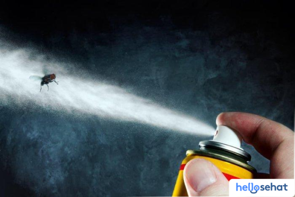 Usir Lalat Membandel? 8 Cara Ampuh & Mudah Ini!